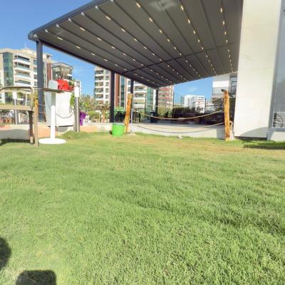 Whatsapp Image 2026 01 19 At 15.20.57